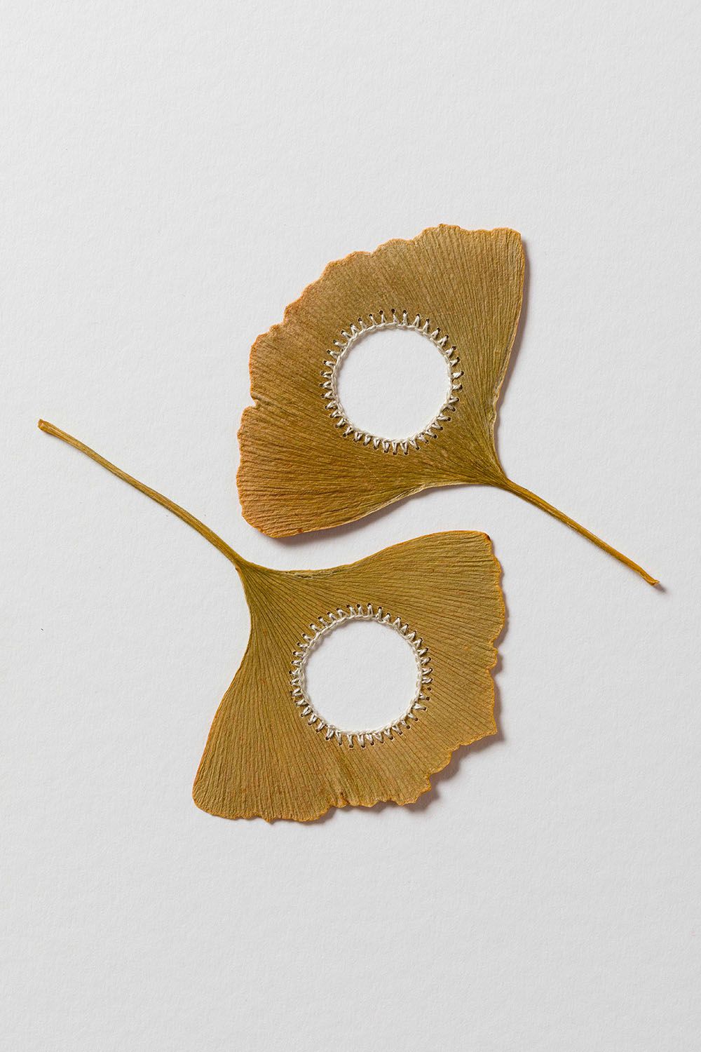 Beautiful Sculptures Of Dried Leaves Crocheted Delicate Patterns By Susanna Bauer 7