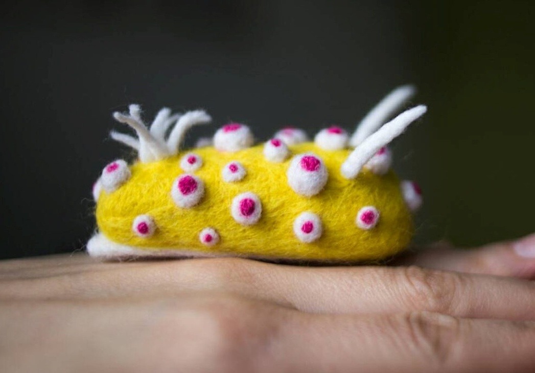 Colorful Needle Felted Sea Slugs By Arina Borevich 6