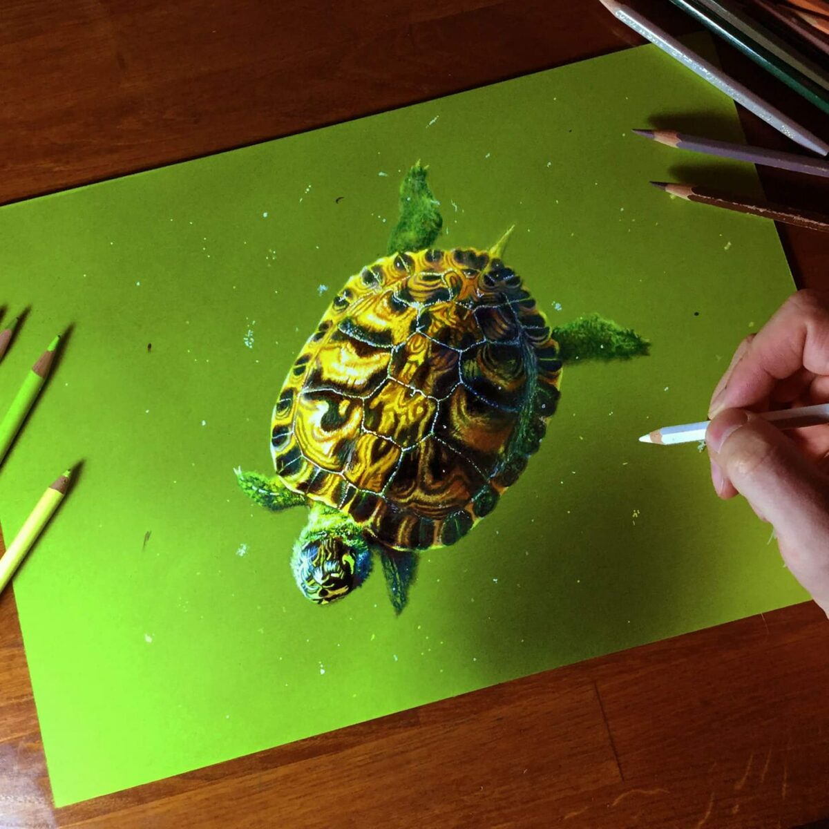 Impressive Photo Realistic Drawings By Marcello Barenghi 9