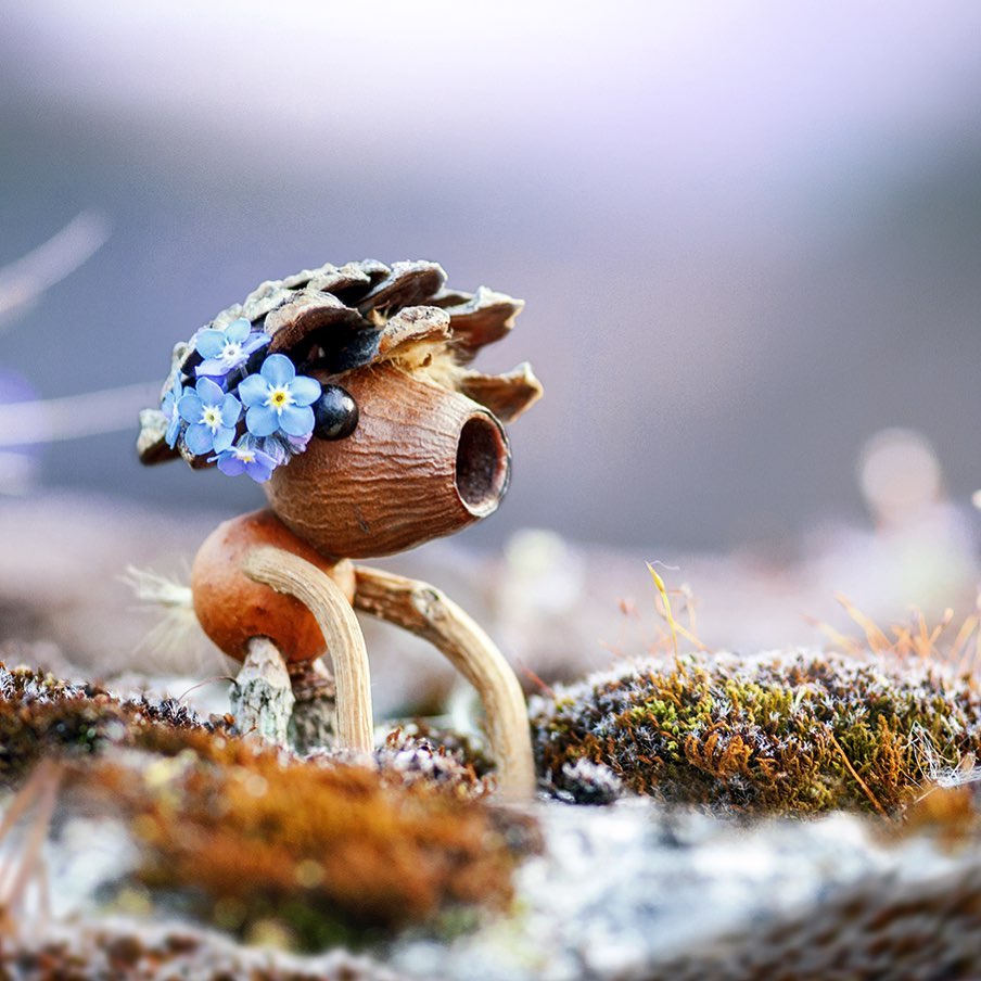 Quirky And Cute Forest Creatures Made From Found Natural Elements By Sylvain Trabut 15