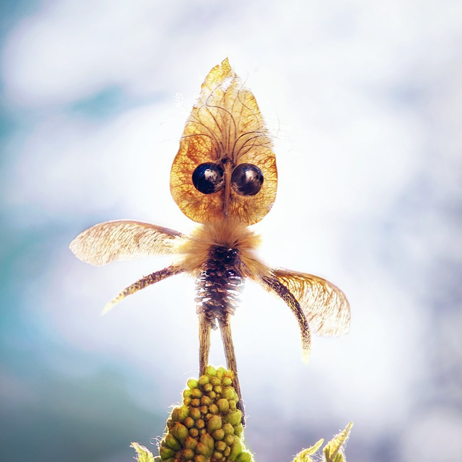 Quirky And Cute Forest Creatures Made From Found Natural Elements By Sylvain Trabut 16
