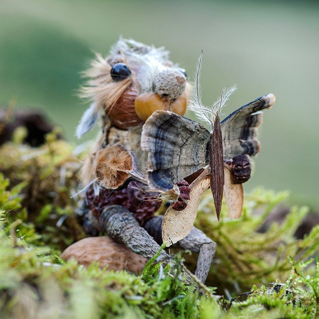 Quirky And Cute Forest Creatures Made From Found Natural Elements By Sylvain Trabut 18