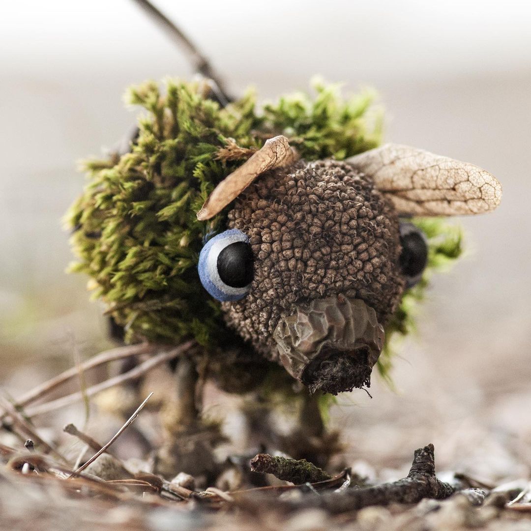 Quirky And Cute Forest Creatures Made From Found Natural Elements By Sylvain Trabut 25