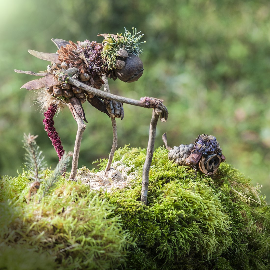 Quirky And Cute Forest Creatures Made From Found Natural Elements By Sylvain Trabut 5