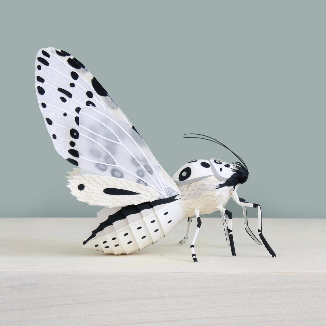 Superb Paper Sculptures Of Animals Plants And Objects By Sarah Louise Matthews 5