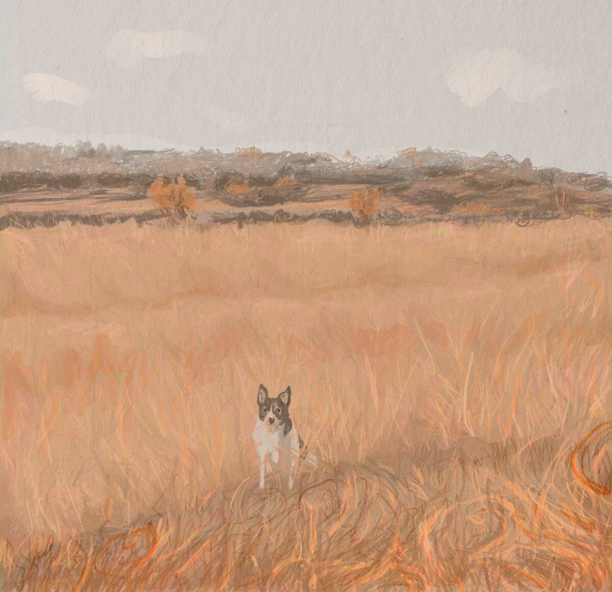 A Walk Through The Fields A Marvelous Digital Painting Series By Veronika Stehr 5