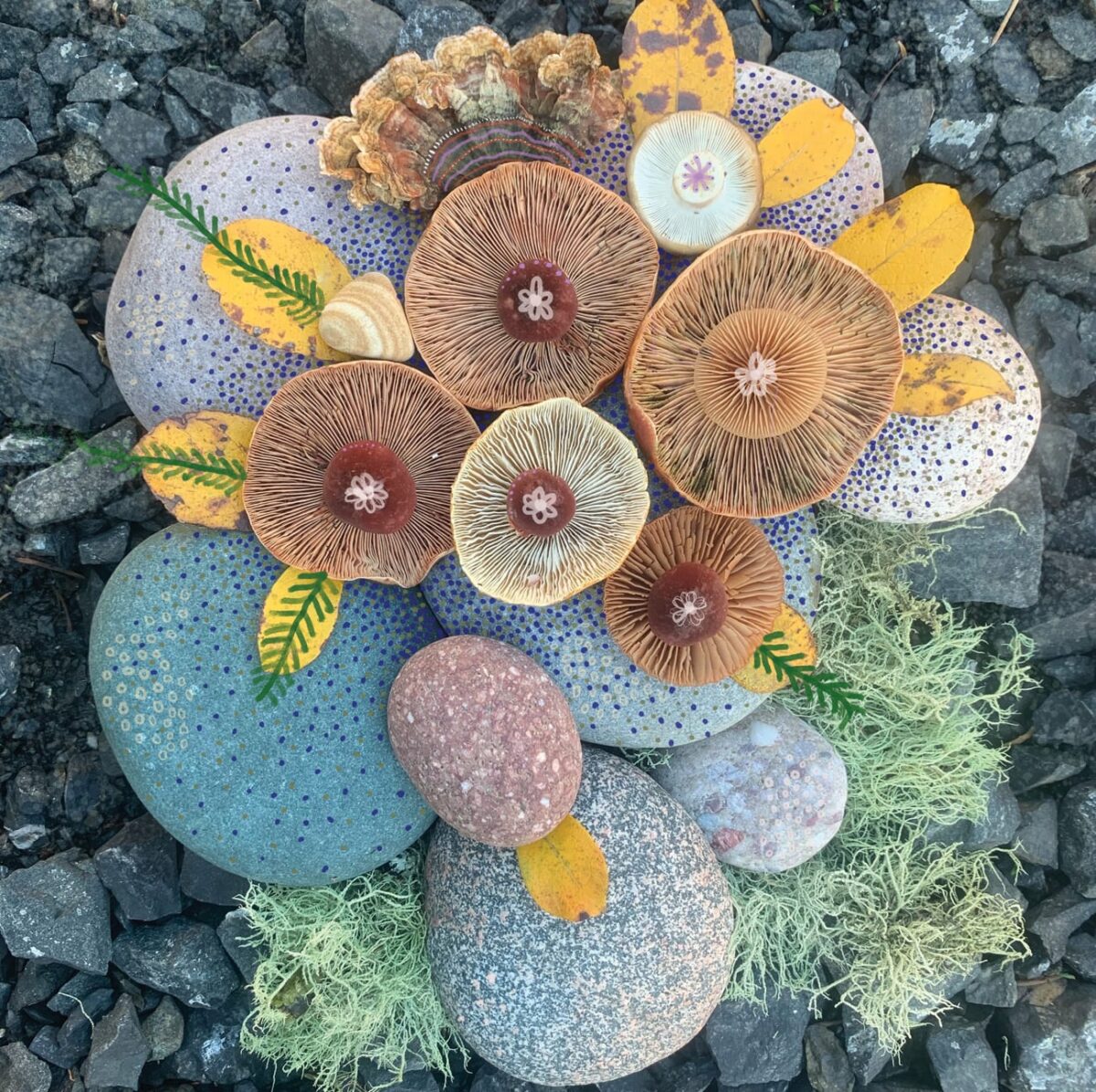 Colorful Arrangements Made Of Mushrooms By Jill Bliss 5