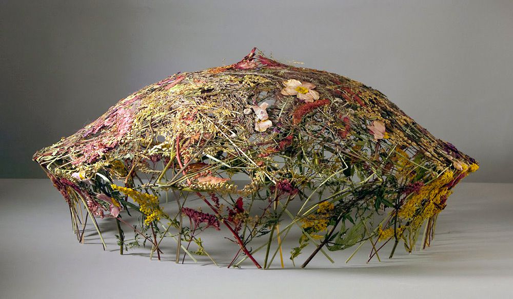 Delicate Vessels Made Of Pressed Flowers By Ignacio Canales Aracil 5