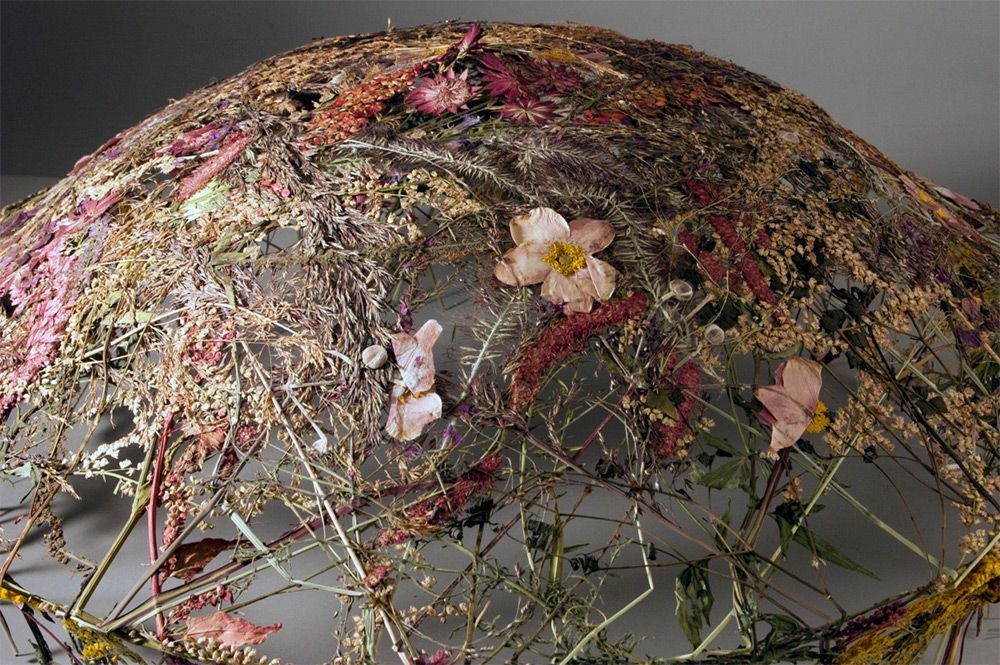 Delicate Vessels Made Of Pressed Flowers By Ignacio Canales Aracil 6