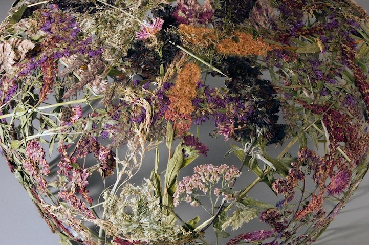 Delicate Vessels Made Of Pressed Flowers By Ignacio Canales Aracil 9