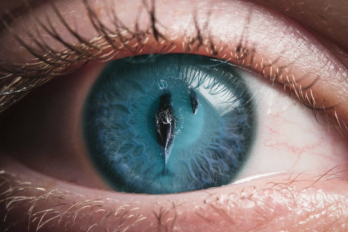 Dont Believe Your Eyes Striking Surrealist Photo Collage Series By Jyo John Mulloor 8