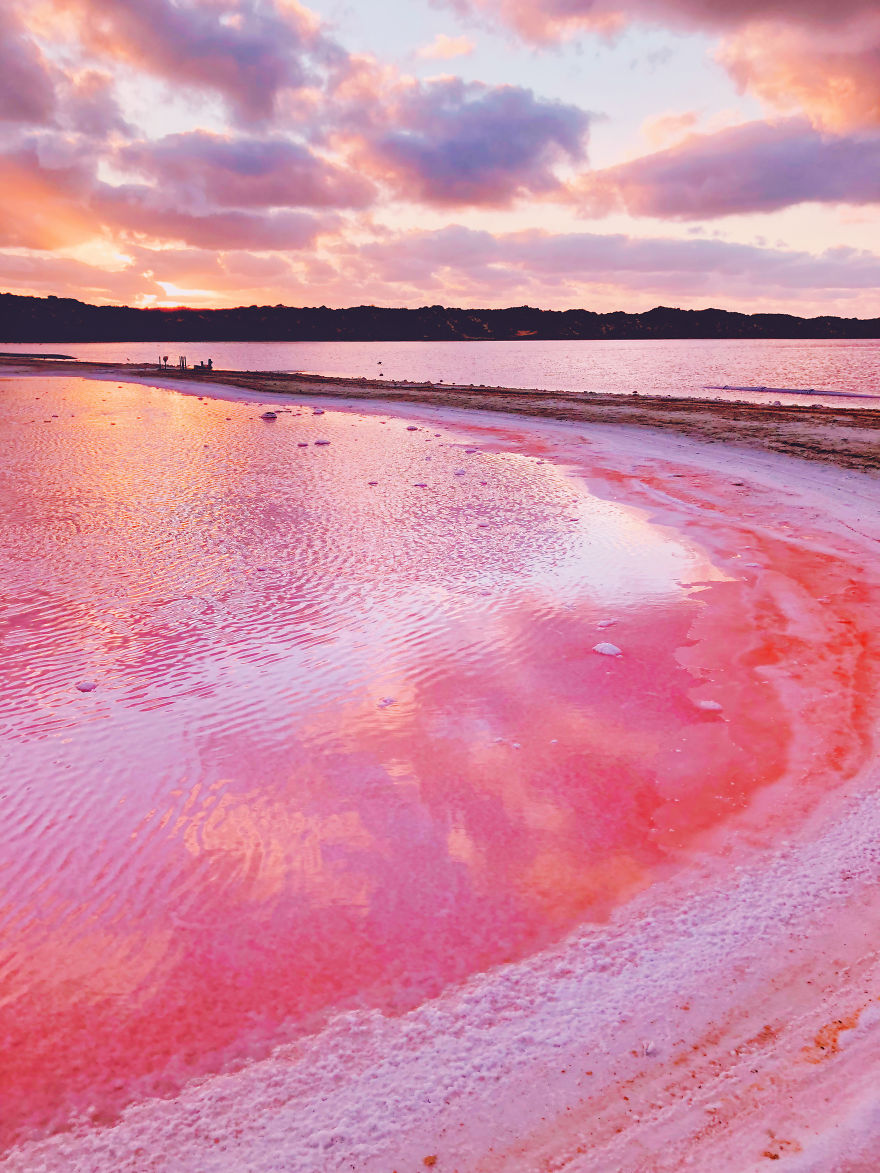 Gorgeous Pictures Of An Exuberant Pink Lagoon In Western Australia Captured By Kristina Makeeva 4