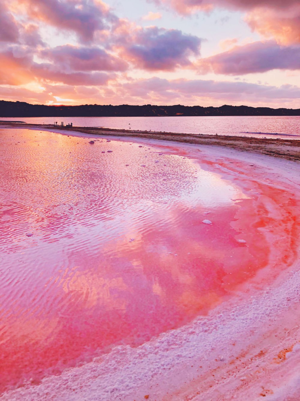 Gorgeous pictures of an exuberant pink lagoon in Western Australia captured by Kristina Makeeva