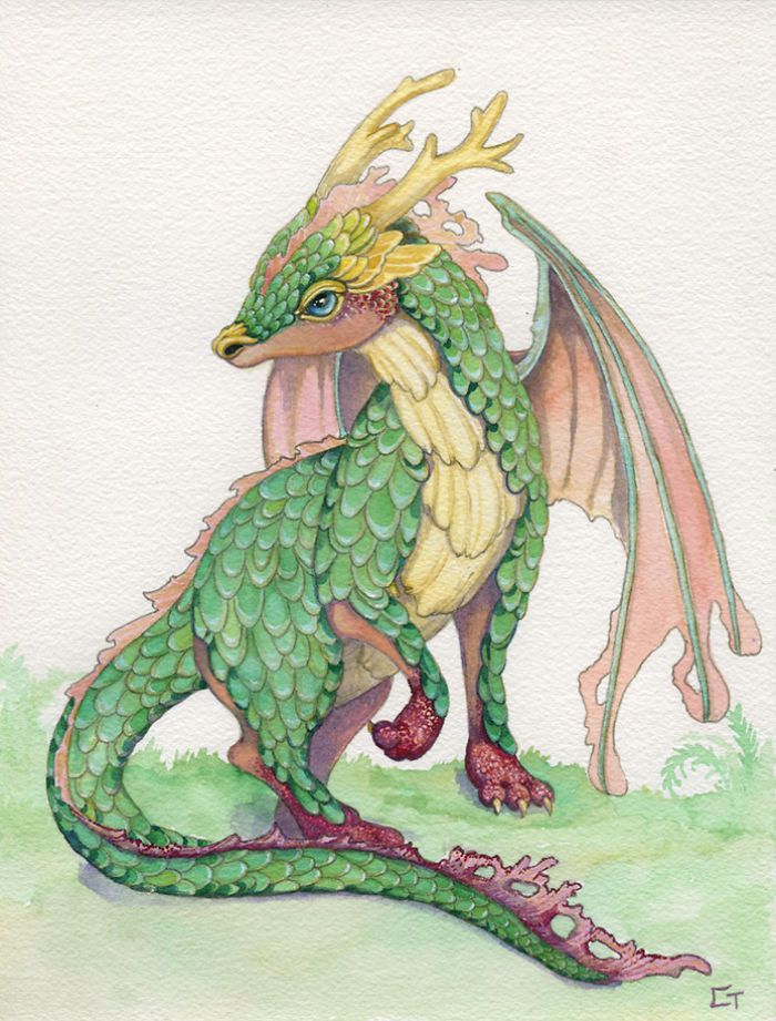 Unique And Wonderful Dragons Watercolors By Carrieann Truitt 1