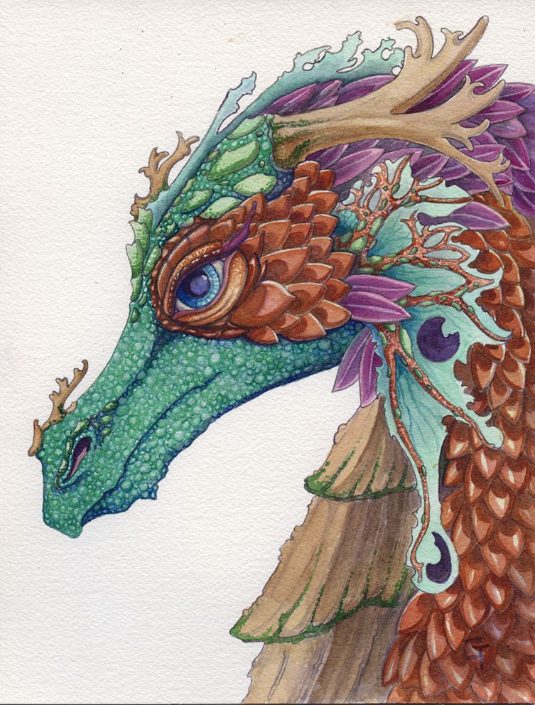 Unique And Wonderful Dragons Watercolors By Carrieann Truitt 10