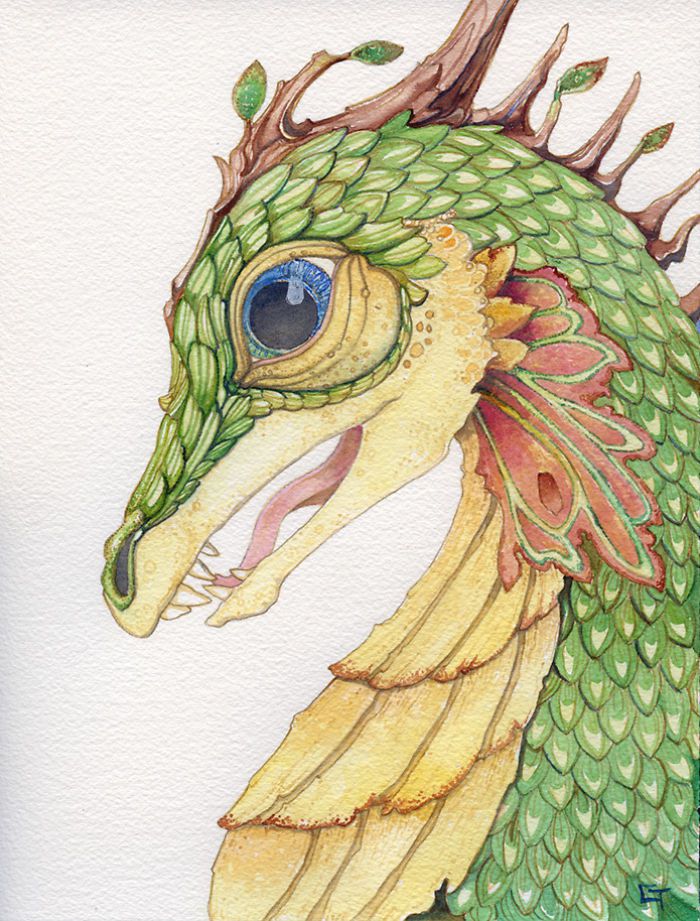 Unique And Wonderful Dragons Watercolors By Carrieann Truitt 5