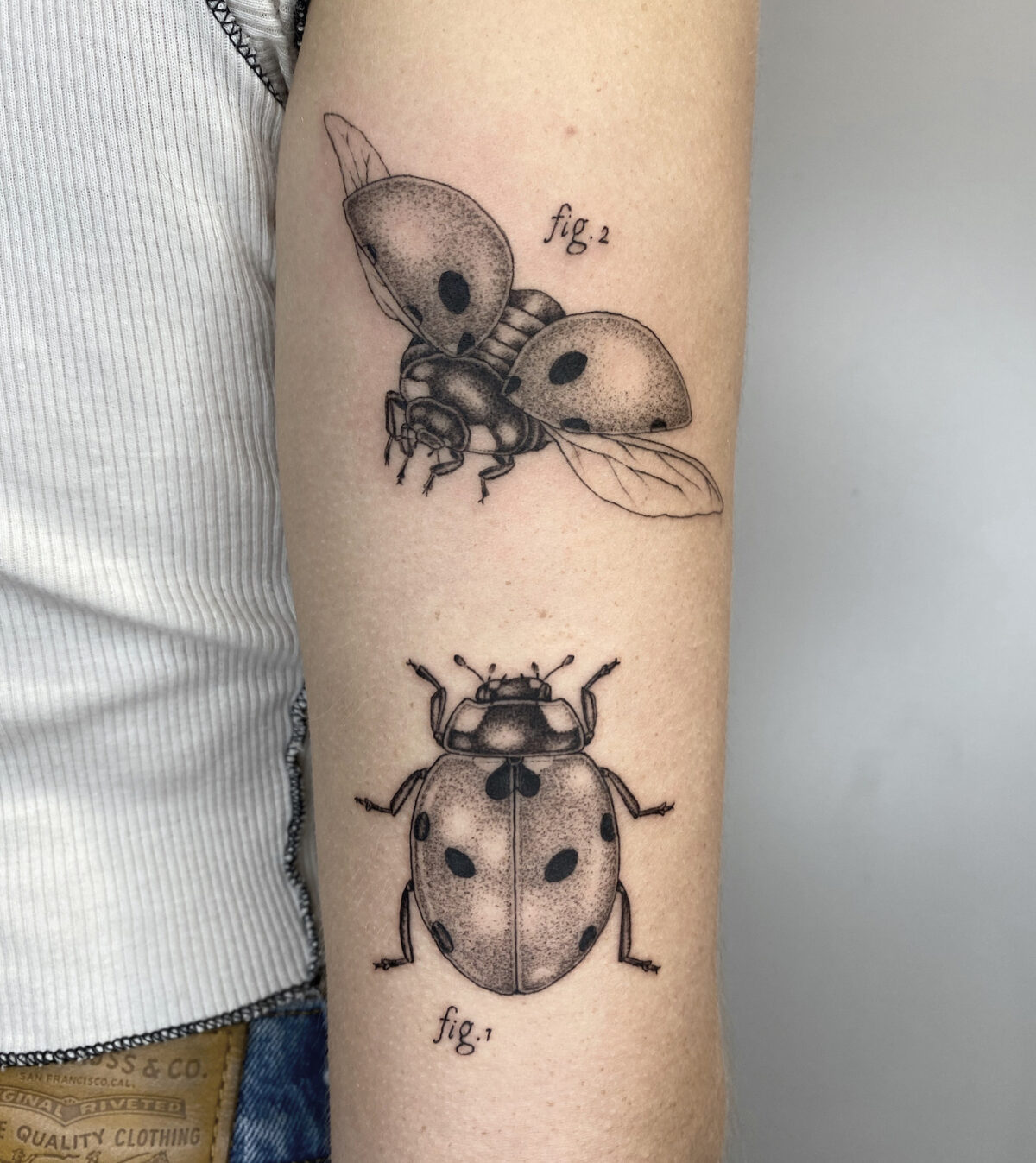 Whimsical Vintage Science Book Inspired Tattoos By Michele Volpi 11