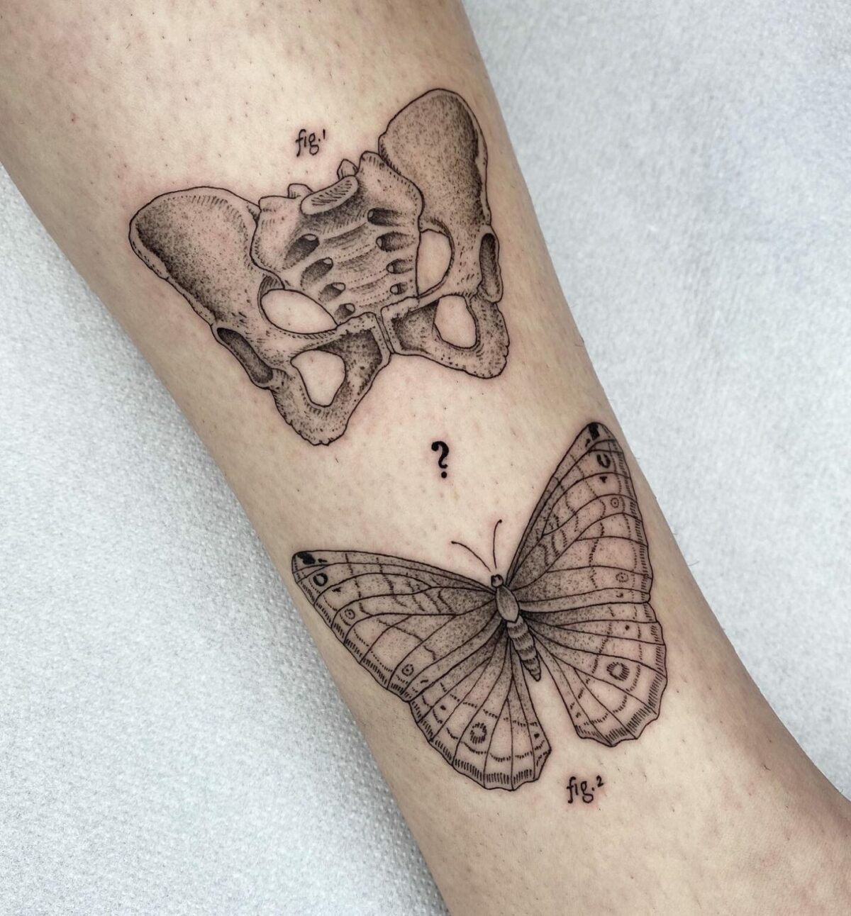 Whimsical Vintage Science Book Inspired Tattoos By Michele Volpi 15