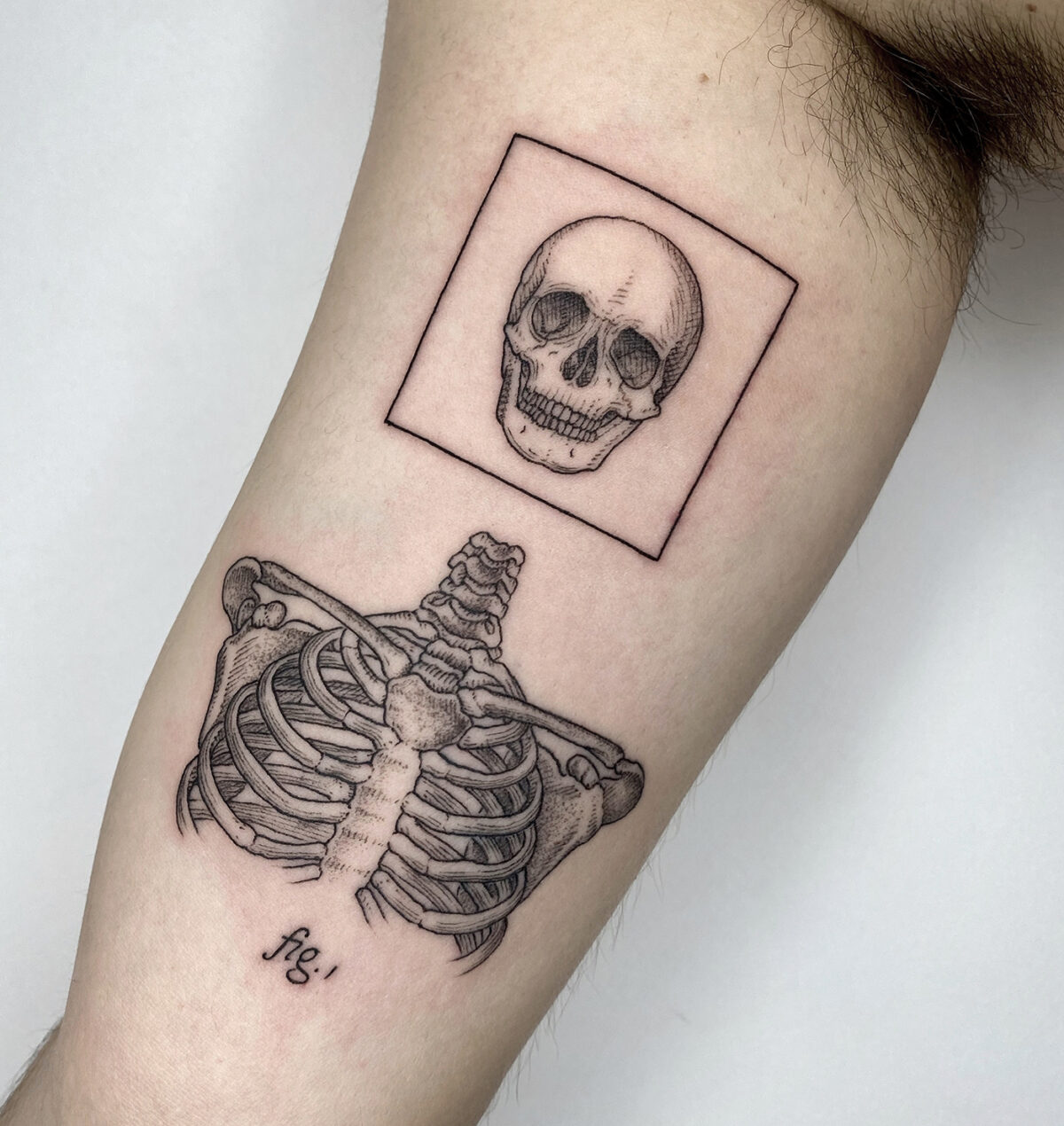 Whimsical Vintage Science Book Inspired Tattoos By Michele Volpi 17