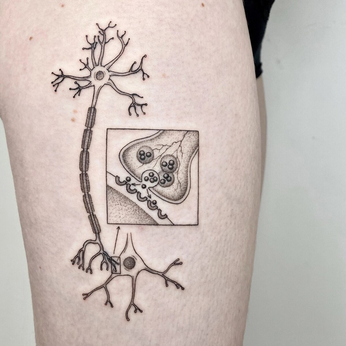 Whimsical vintage science book-inspired tattoos by Michele Volpi