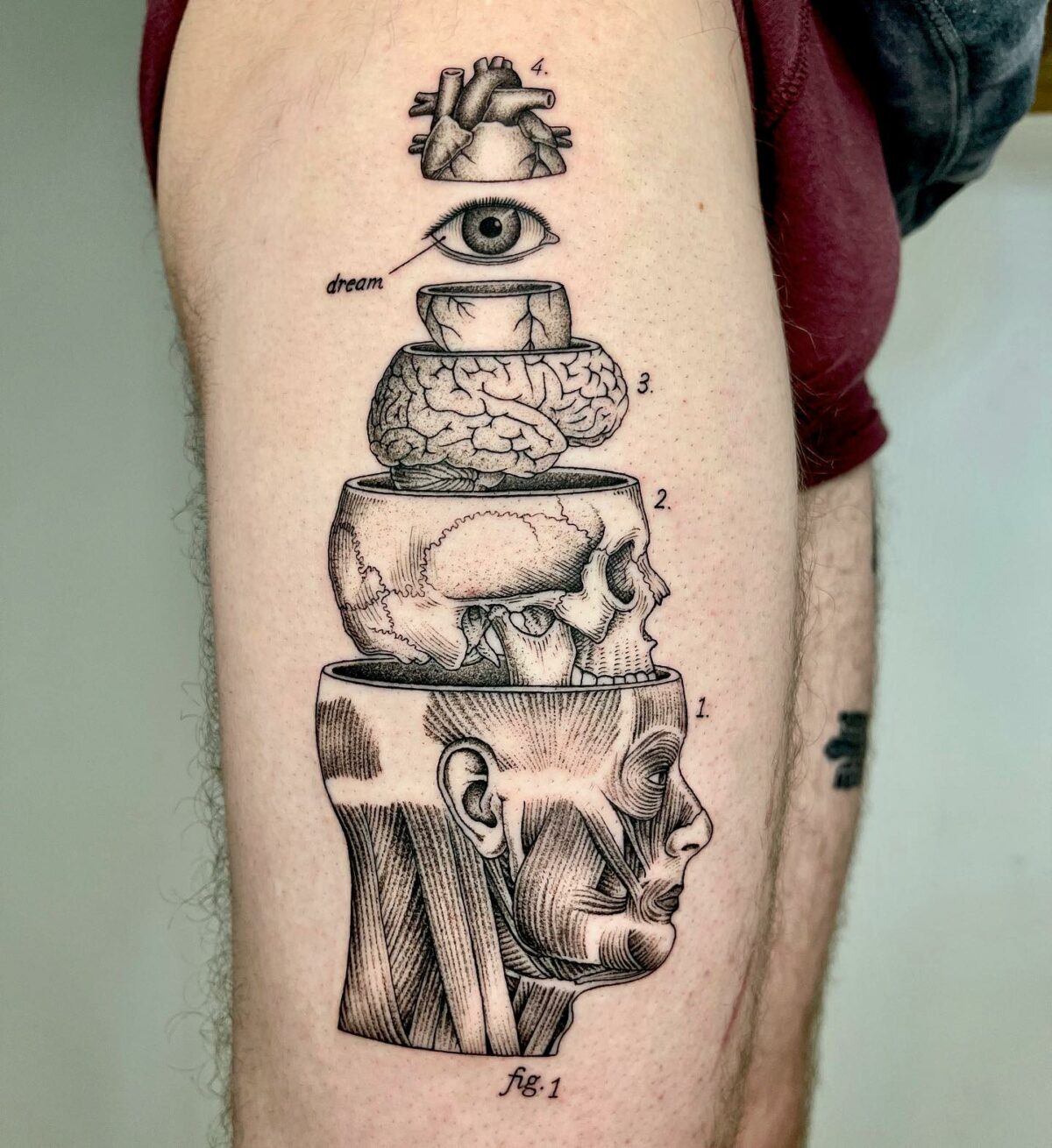 Whimsical Vintage Science Book Inspired Tattoos By Michele Volpi 22