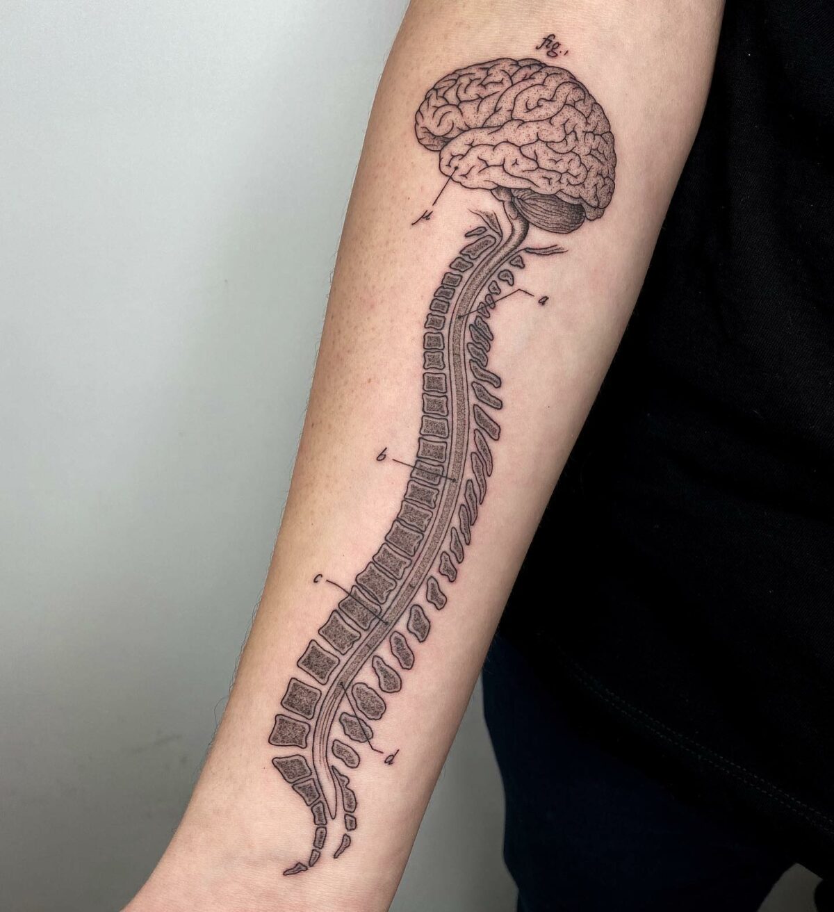 Whimsical Vintage Science Book Inspired Tattoos By Michele Volpi 23