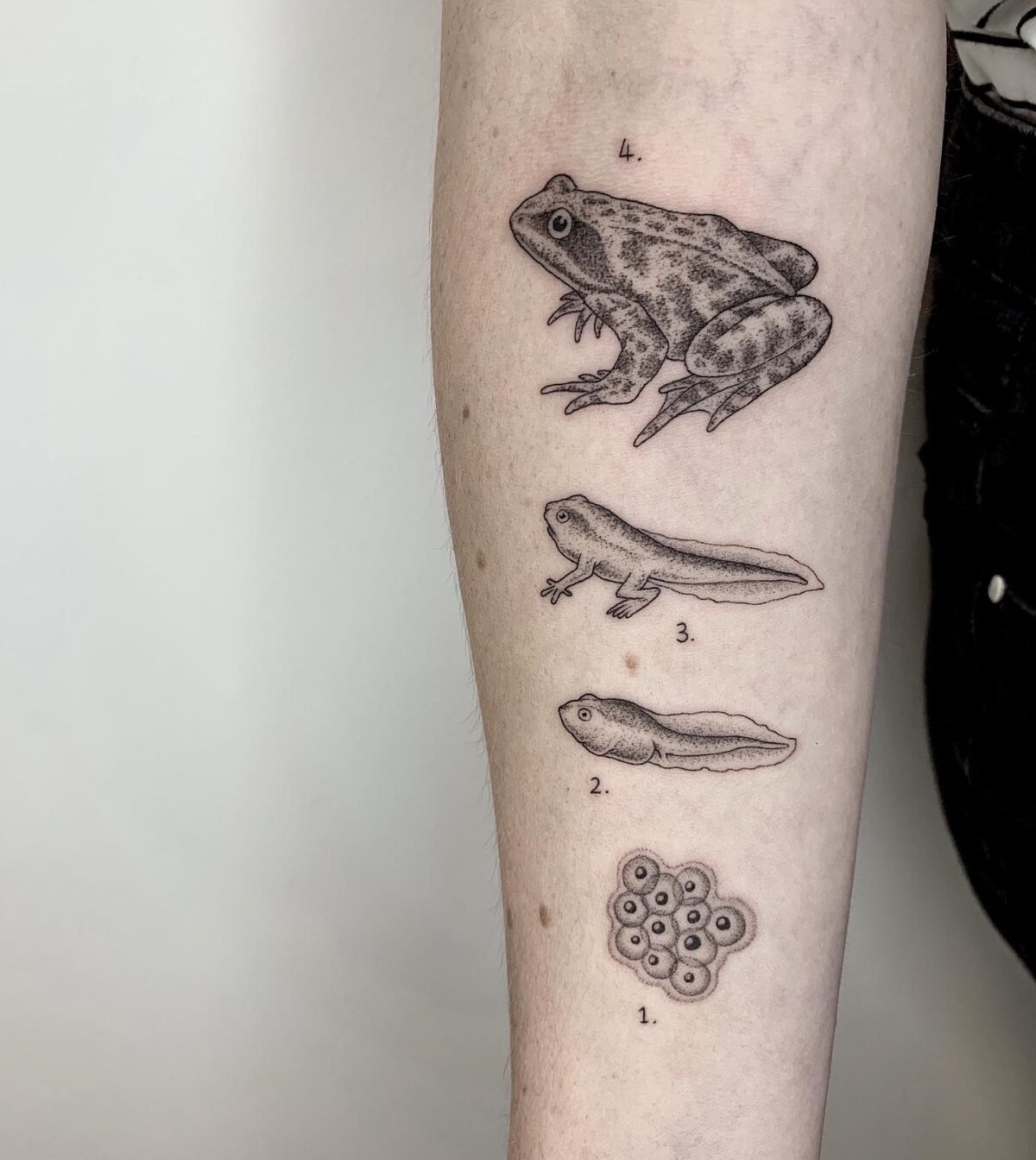 Whimsical Vintage Science Book Inspired Tattoos By Michele Volpi 4