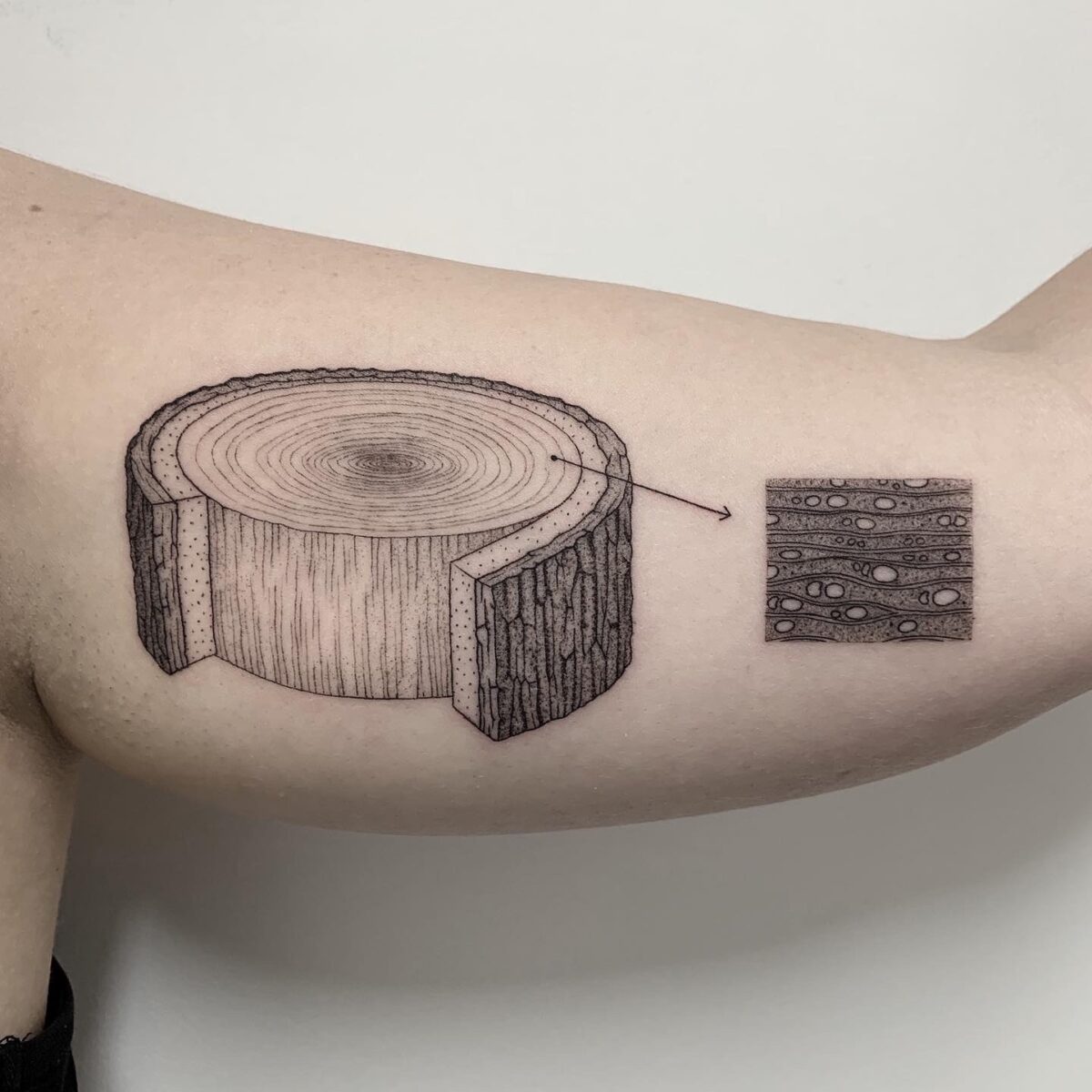 Whimsical Vintage Science Book Inspired Tattoos By Michele Volpi 5