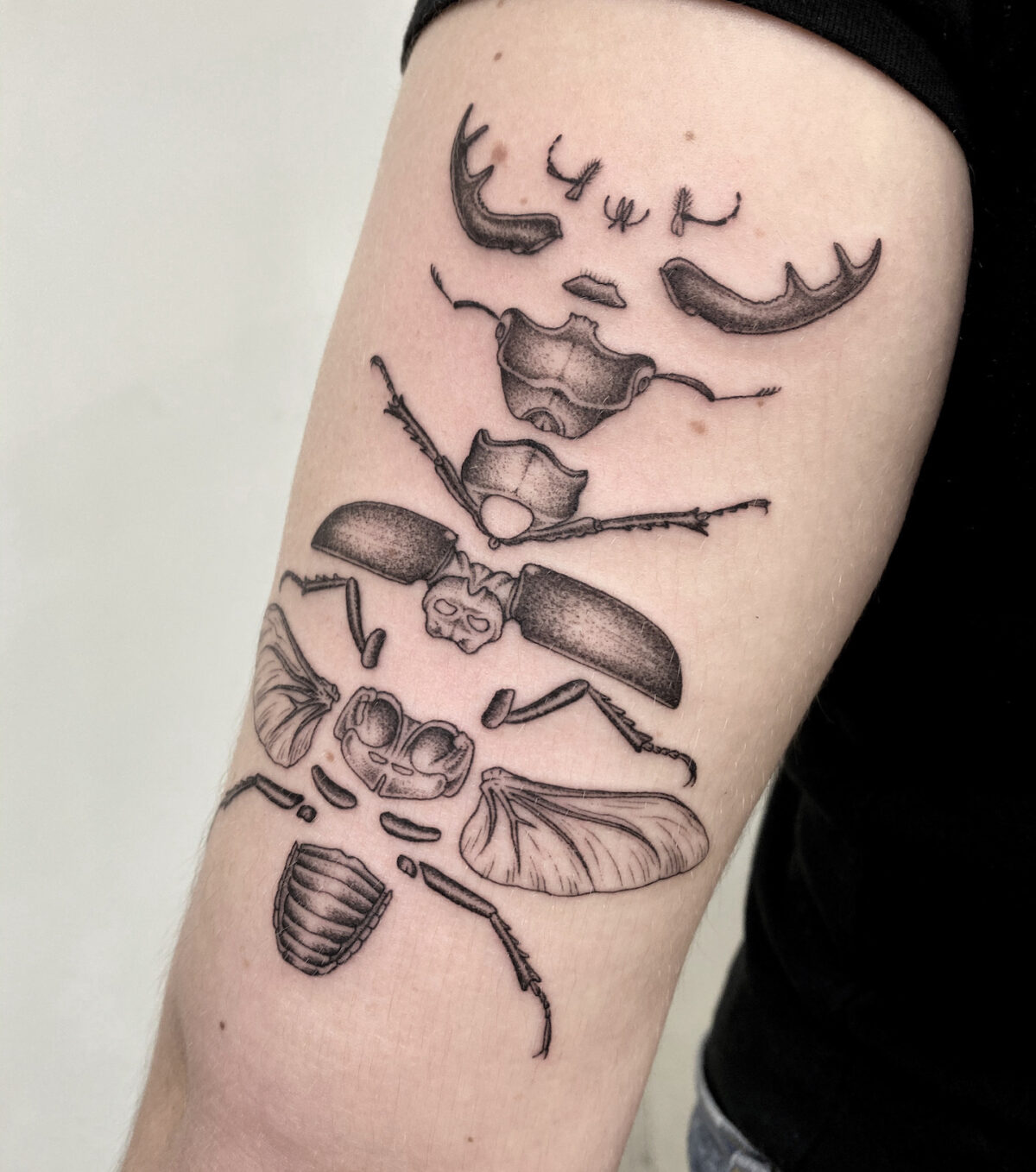 Whimsical Vintage Science Book Inspired Tattoos By Michele Volpi 8