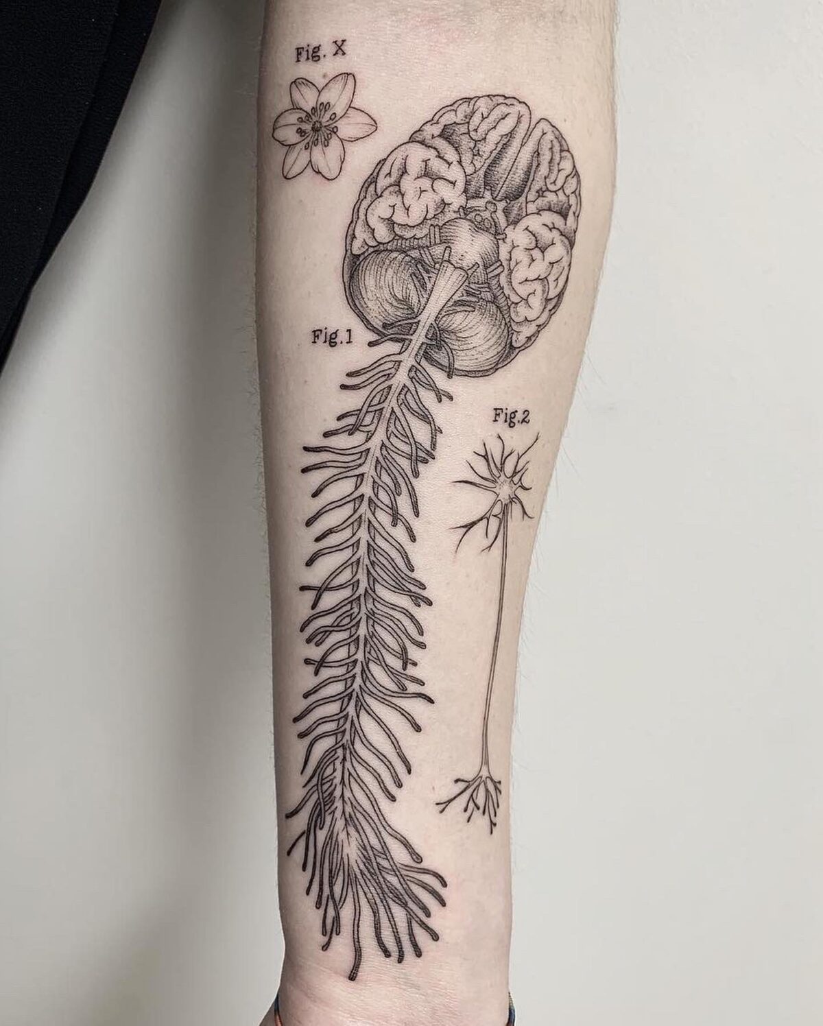 Attachment: Whimsical Vintage Science Book Inspired Tattoos By Michele  Volpi 9 — Visualflood: Your Daily-Inspiration Source