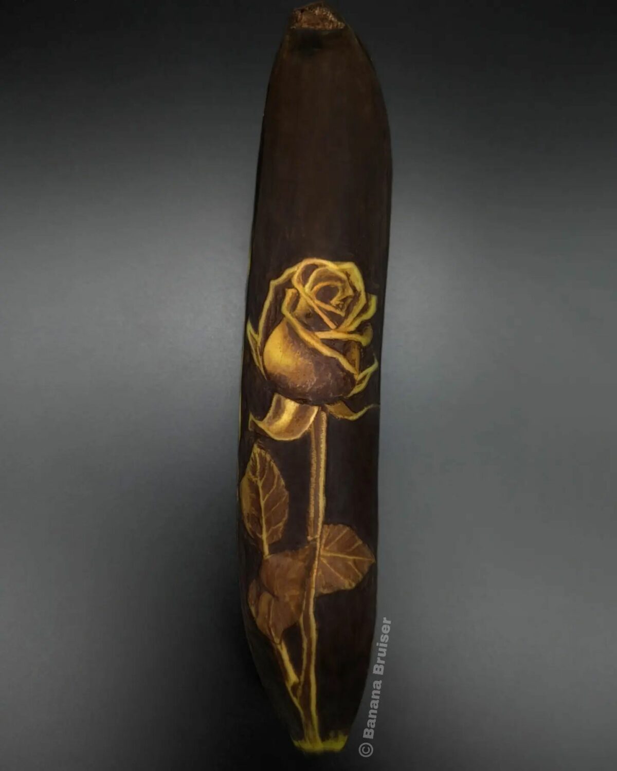 The Bruised Banana Art Of Anna Chojnicka 11