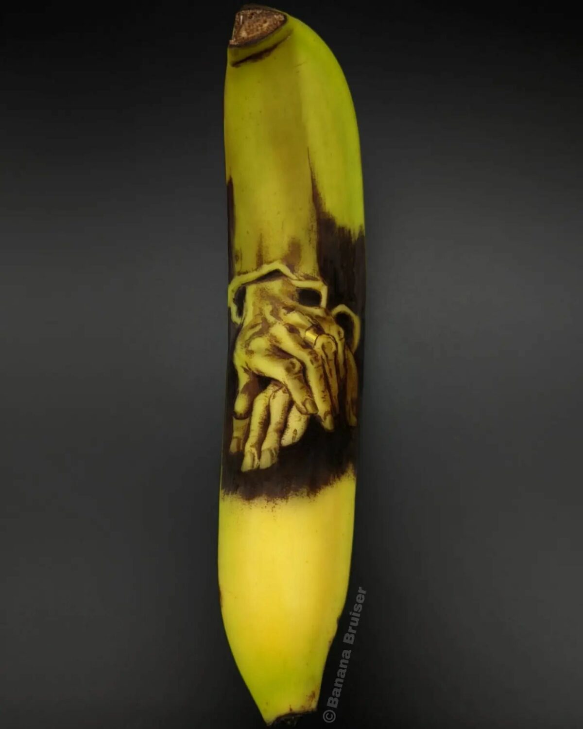 The Bruised Banana Art Of Anna Chojnicka 14