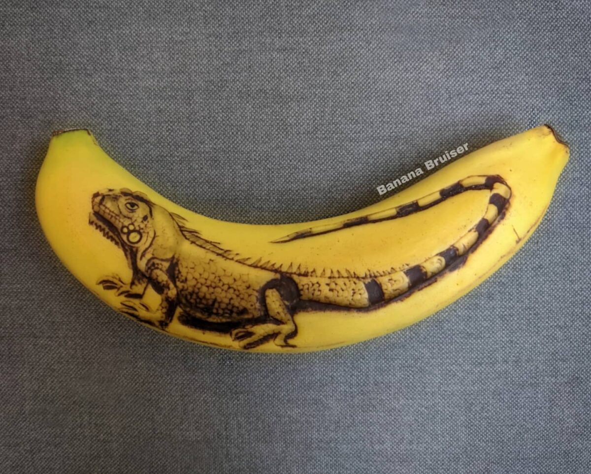 The bruised banana art of Anna Chojnicka