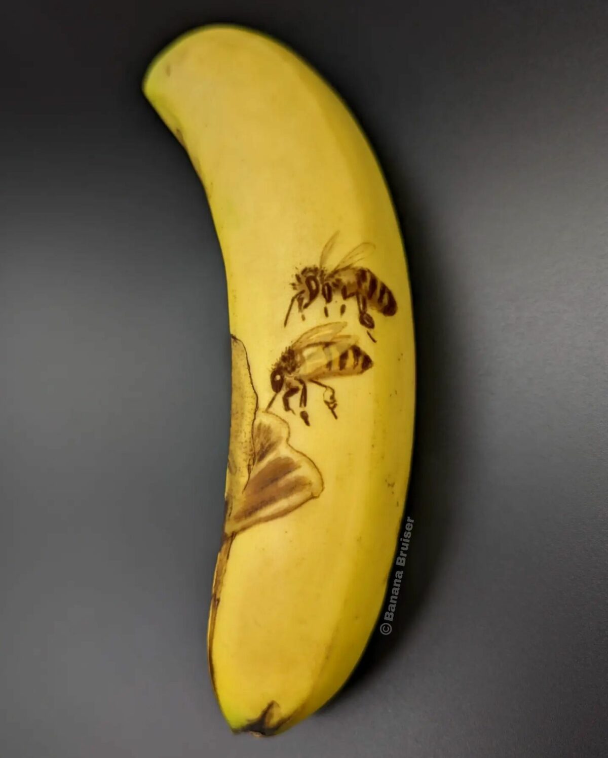 The Bruised Banana Art Of Anna Chojnicka 4