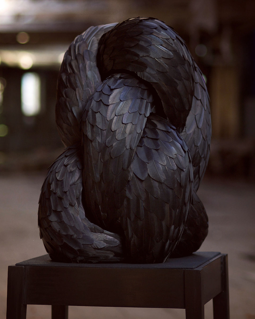 Absolutely Stunning Serpentine Coiled Sculptures Made Of Found British Bird Feathers By Kate Mccgwire 1