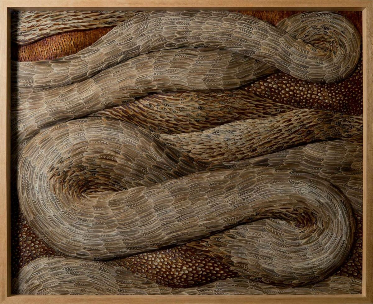 Absolutely Stunning Serpentine Coiled Sculptures Made Of Found British Bird Feathers By Kate Mccgwire 5