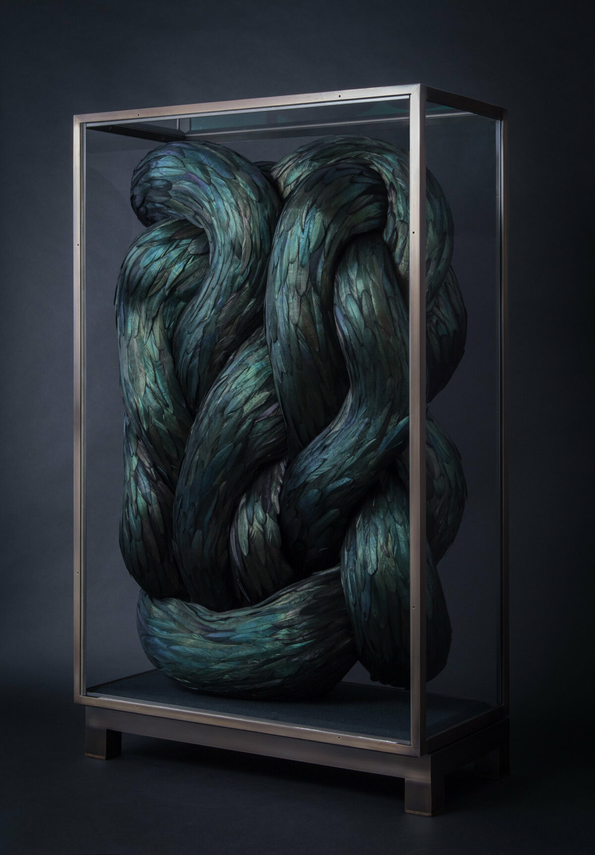 Absolutely Stunning Serpentine Coiled Sculptures Made Of Found British Bird Feathers By Kate Mccgwire 6 1