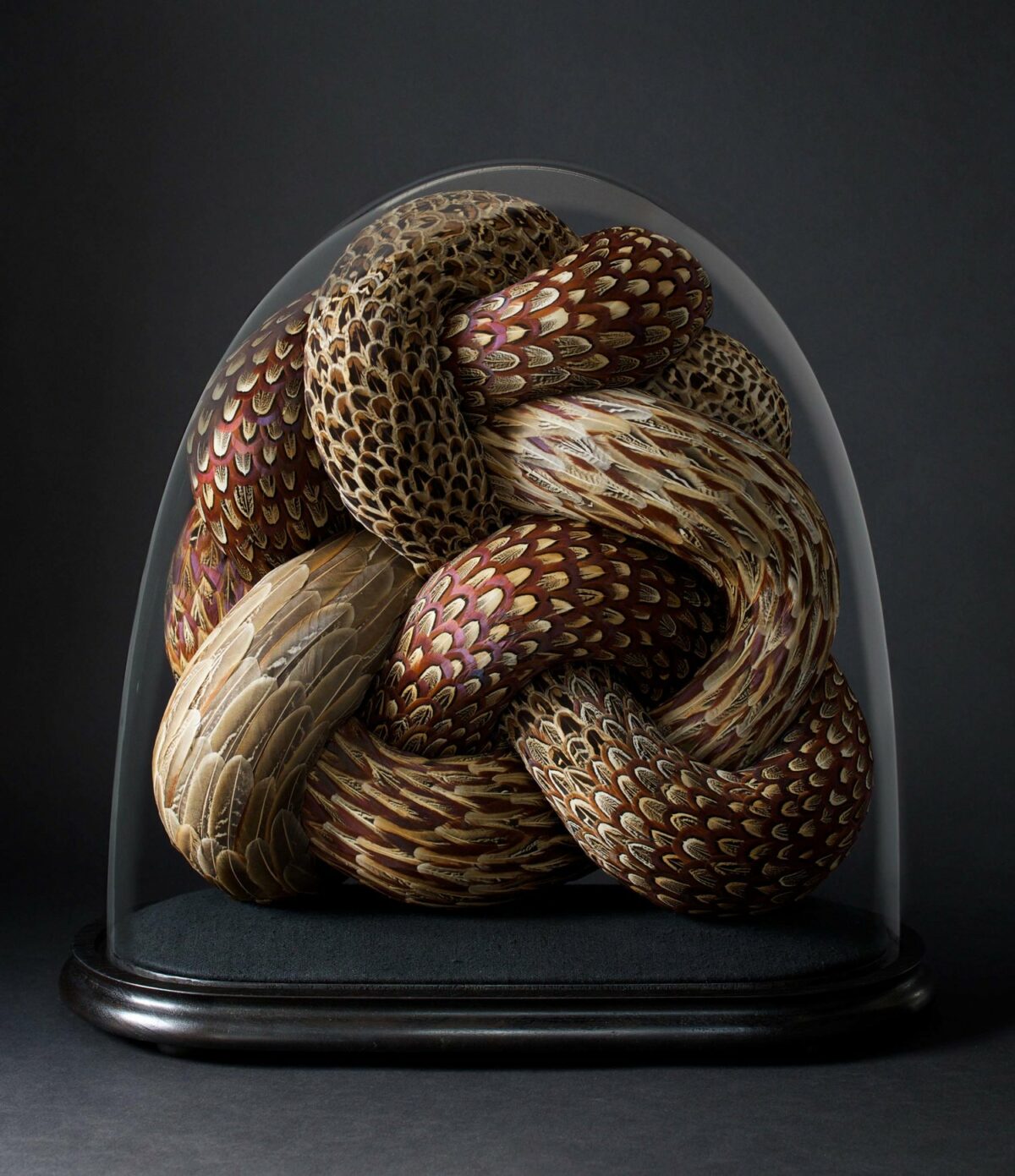 Absolutely Stunning Serpentine Coiled Sculptures Made Of Found British Bird Feathers By Kate Mccgwire 5