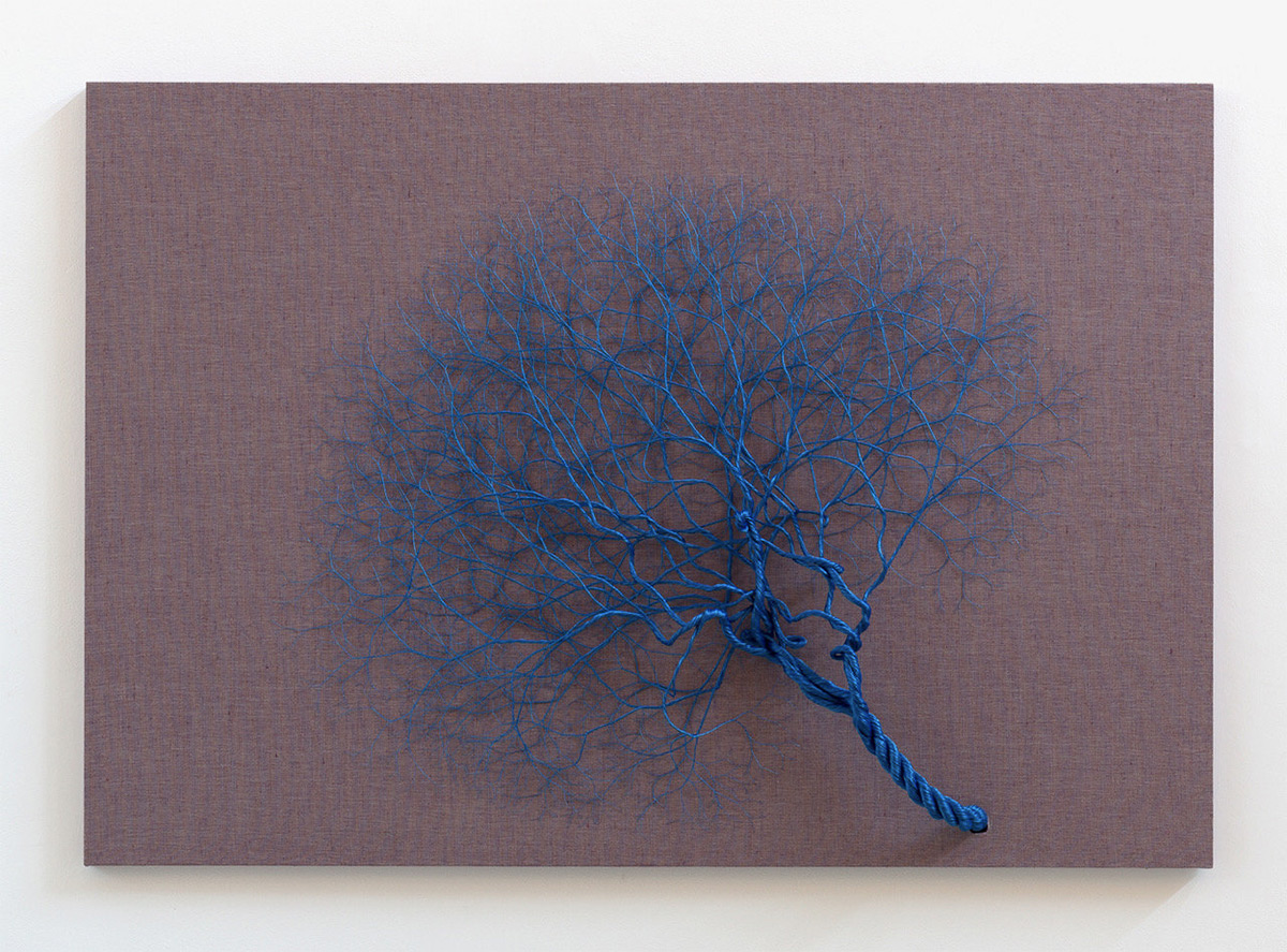 Ciclotramas Hypnotizing Tree And Roots Like Installations By Janaina Mello Landini 14