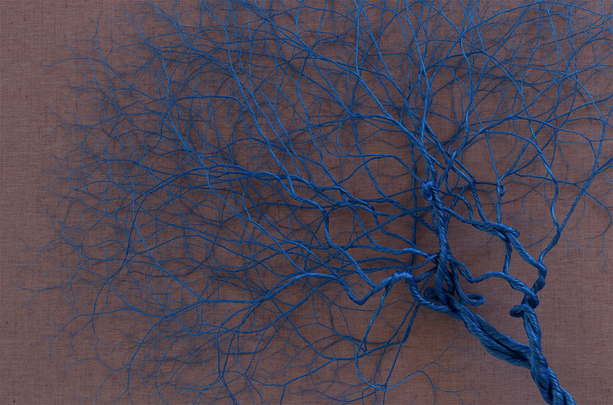 Ciclotramas Hypnotizing Tree And Roots Like Installations By Janaina Mello Landini 16