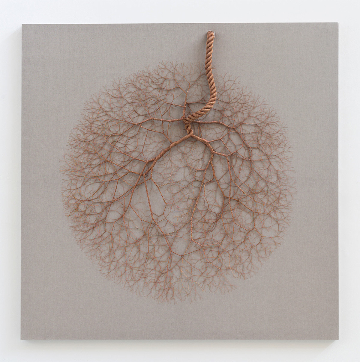 Ciclotramas Hypnotizing Tree And Roots Like Installations By Janaina Mello Landini 22