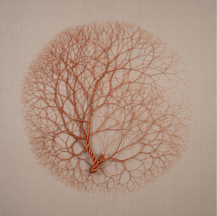Ciclotramas Hypnotizing Tree And Roots Like Installations By Janaina Mello Landini 28