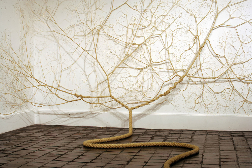 Ciclotramas Hypnotizing Tree And Roots Like Installations By Janaina Mello Landini 9