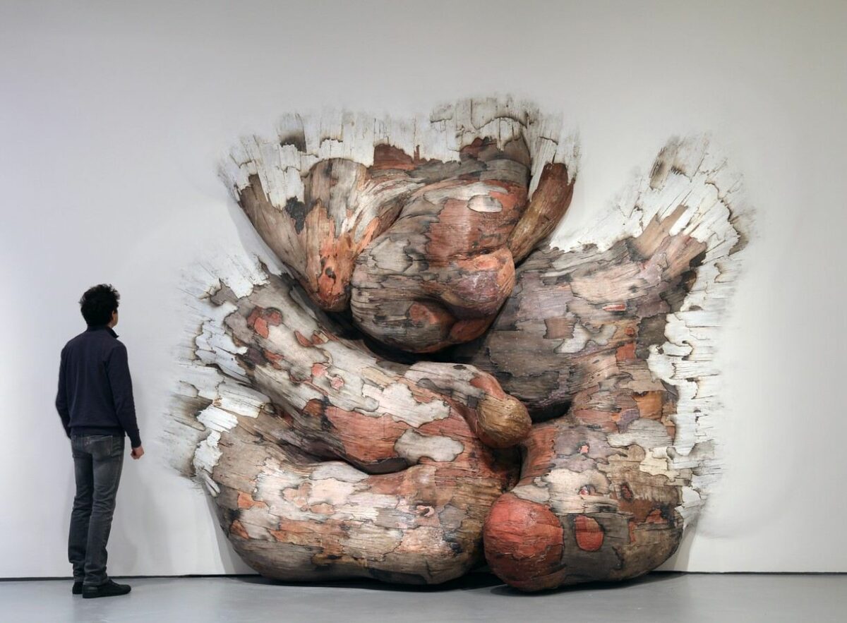 Monumental Root And Tree Trunk Like Installations By Henrique Oliveira 1