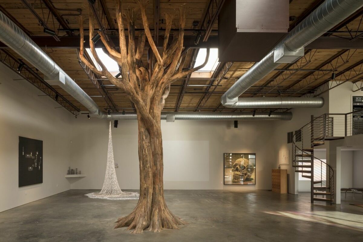 Monumental Root And Tree Trunk Like Installations By Henrique Oliveira 10