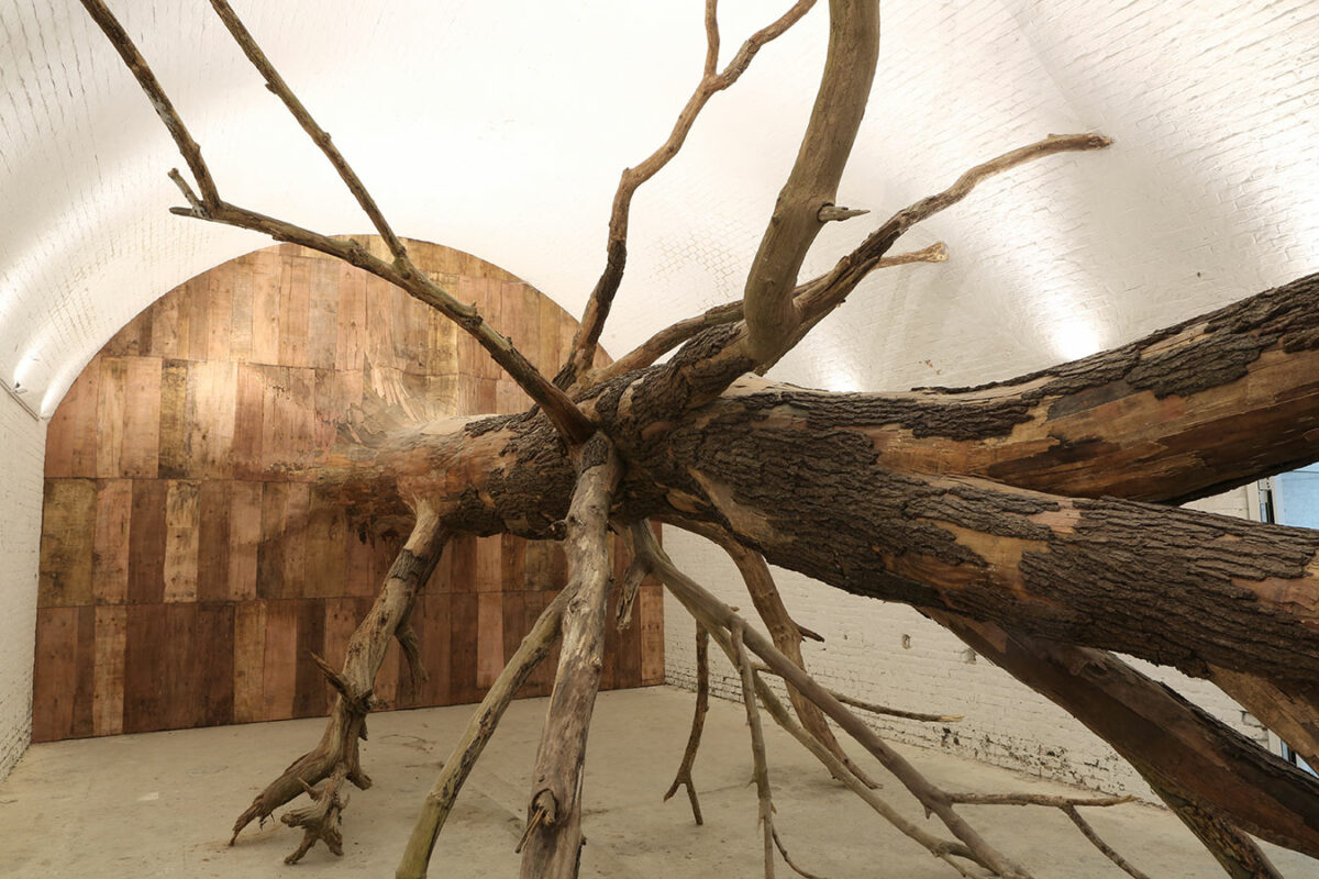 Monumental Root And Tree Trunk Like Installations By Henrique Oliveira 12
