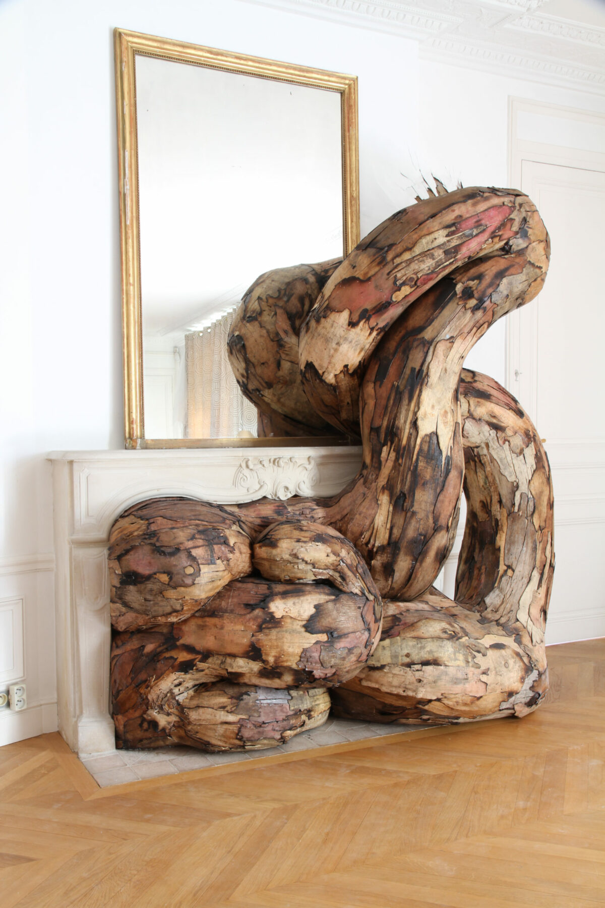 Monumental Root And Tree Trunk Like Installations By Henrique Oliveira 9