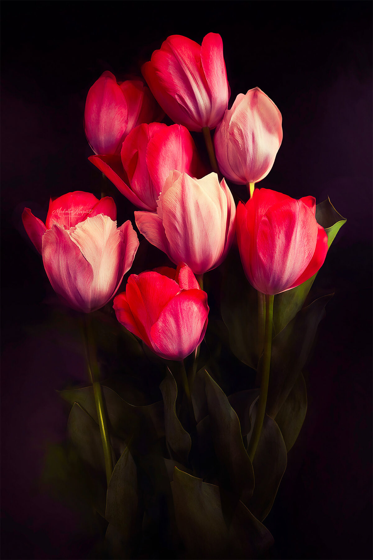 Wonderful Flower Photography By Michelle Newport 12