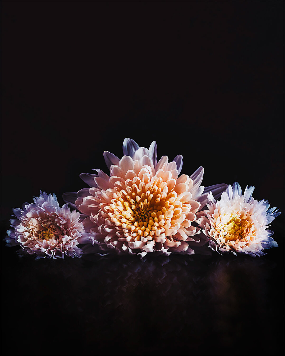 Wonderful Flower Photography By Michelle Newport 17