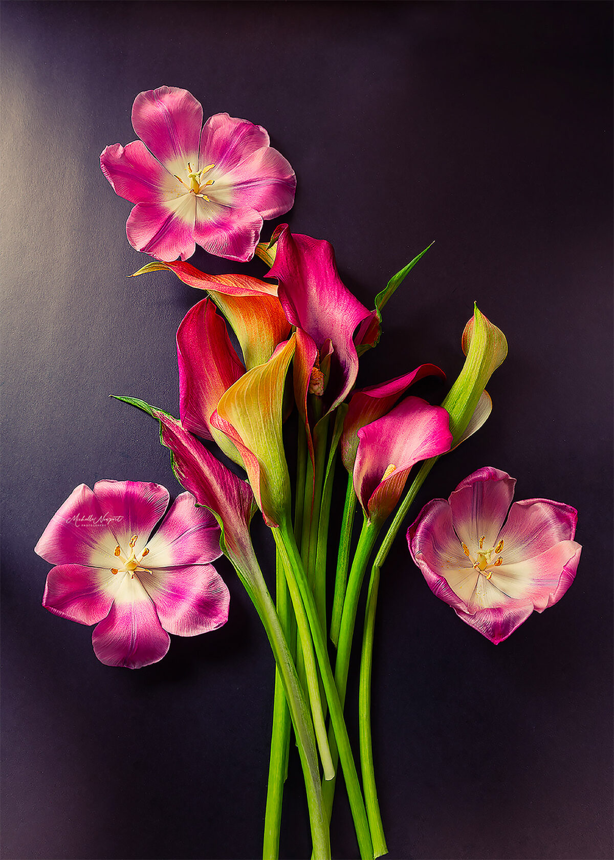 Wonderful Flower Photography By Michelle Newport 7